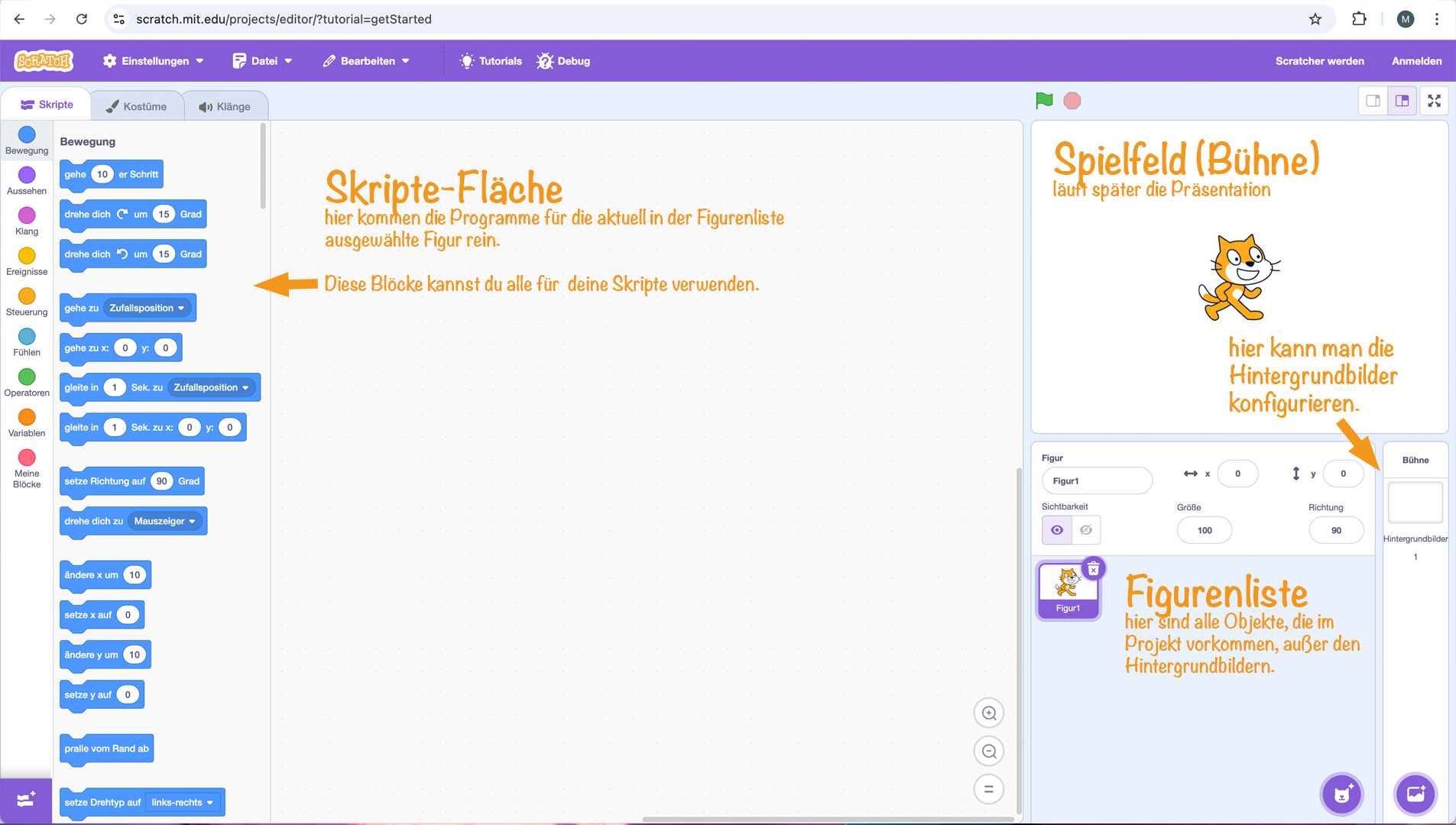 Blick auf die Scratch‑Oberfläche